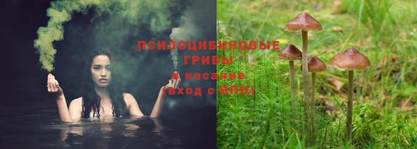 mdpv Алексин