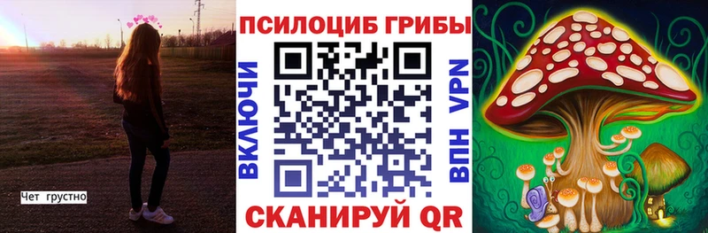 продажа наркотиков  Закаменск  Галлюциногенные грибы Cubensis 